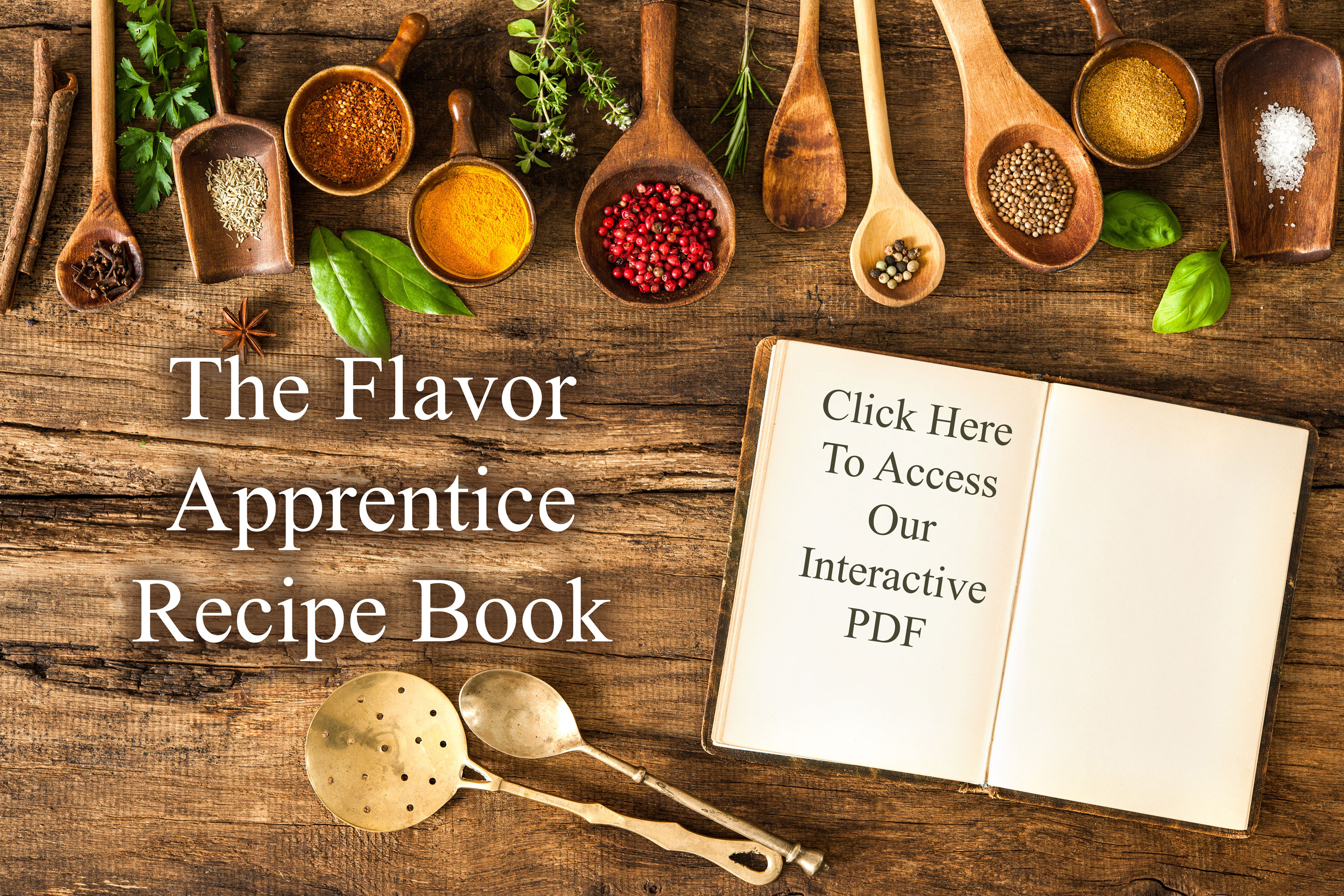 Molecular Gastronomy Recipe Book Pdf Dandk Organizer